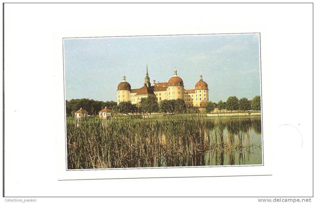 CP, Allemagne, Ex-RDA, Moritzburg, Le Chateau Renaissance, Explications Au Verso, écrite - Moritzburg