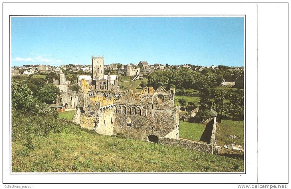 CP, Pays De Galles, Ruines Du Collège St Mary à Saint David, Explications Au Verso, écrite - Pembrokeshire