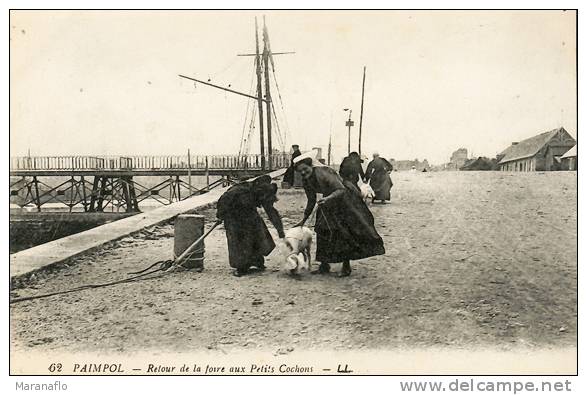 PAIMPOL. Retour De La Foire Aux Petits Cochons - Paimpol