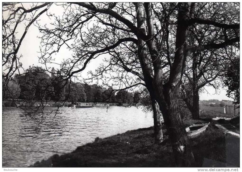 CPSM 95 De NEUVILLE SUR OISE Les Bords De L'oise - PEU COURANTE - Neuville-sur-Oise