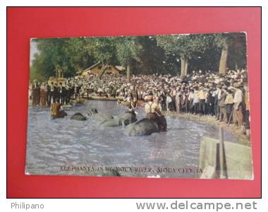 Elephants  In Big Sioux River Sioux City IA   1908 Cancel  = =  = =   Ref 351 - Elefantes