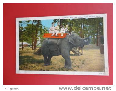 Elephants   Elephant Ride At Walbridge Park Toledo Ohio   Vintage Wb = =  = =   Ref 351 - Elefanti