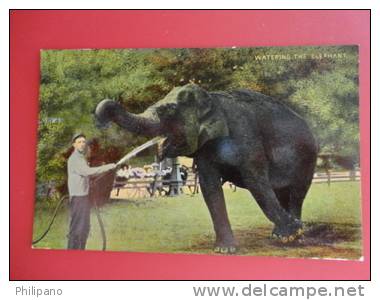 Elephants   Watering The Elephant  Circa 1910 = =  = =   Ref 351 - Elefanti