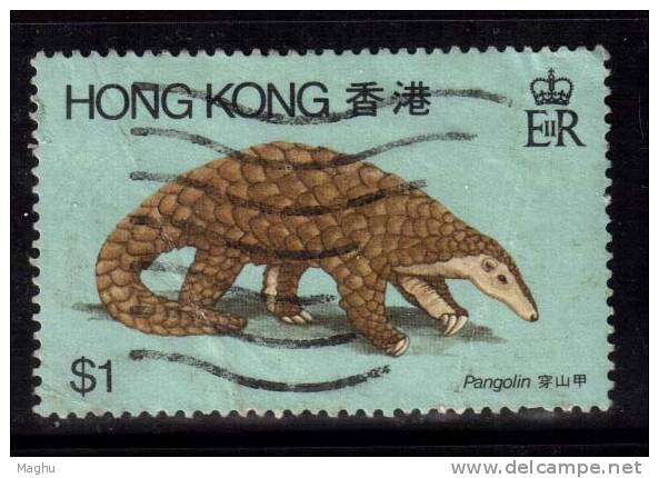 Hong Kong Used 1982, Pangolin, Animal, As Scan - Gebraucht