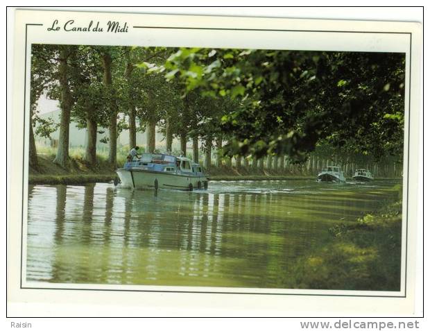 34 Promenade Sur Le Canal Du Midi  Bâteaux Péniches  à L´ombre Des Platanes Centenaires... Non Circulé N °109  TBE - Autres & Non Classés