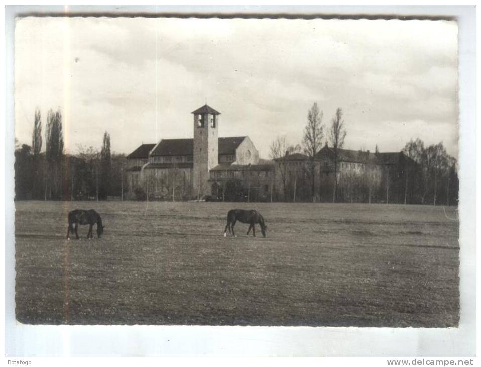 CPM DPT 65 TOURNAY ABBAYE DE NOTRE DAME - Tournay