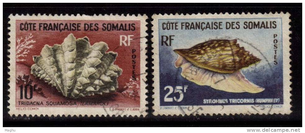 French Somali Coast Used 1962, 2v Shells, - Oblitérés