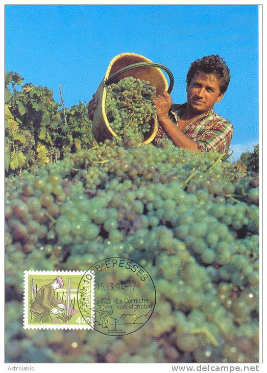 Le Vigneron Suisse 1994 Carte Maximum Yvert 1444 - Wines & Alcohols