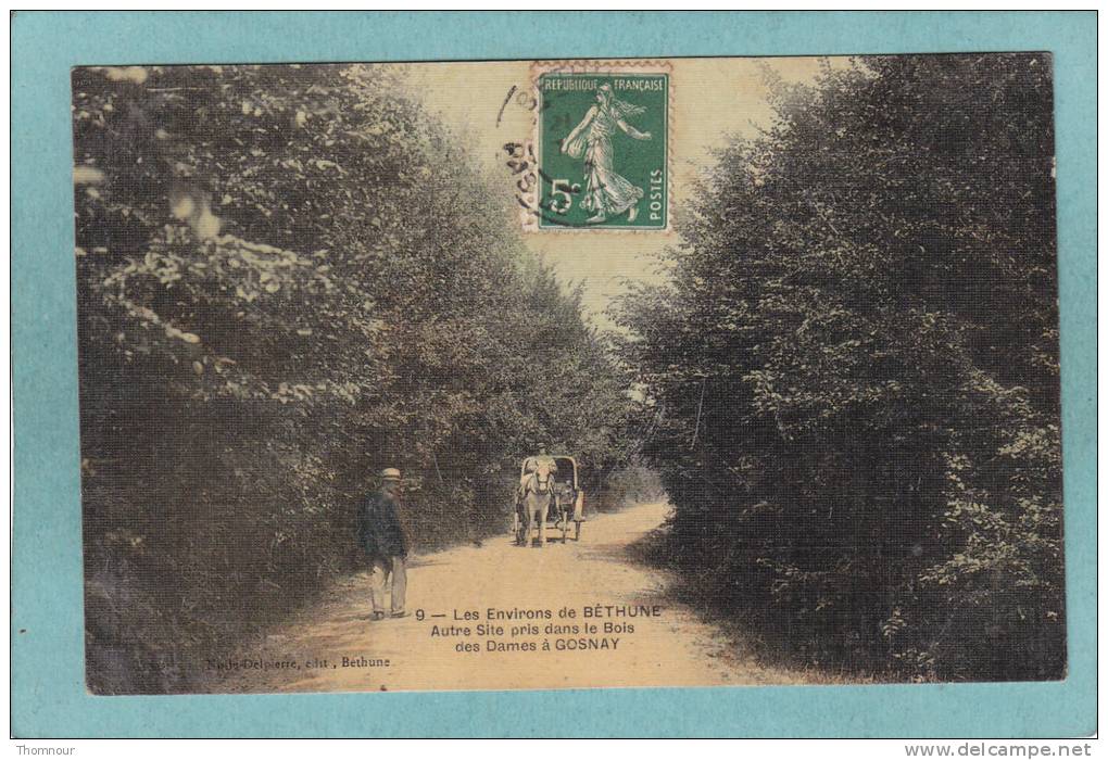 62  -  Les Environs De BETHUNE - Autre Site Pris Dans Le Bois De Dames à GOSNAY - 1907 - BELLE CARTE ANIMEE  - - Bethune