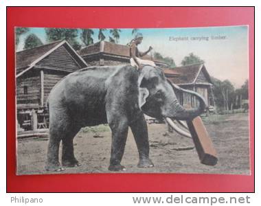 Elephant--- Elephant Carrying Timber  Hand Colored  Ca 1910-------   Ref 352 - Éléphants
