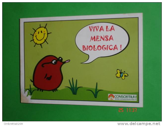 Consorzio Biologico Scuola Prodotti Biologici Sindaco Comune Pulcino Farfalla  Sole - Nv Cartolina Danneggiata - Altri & Non Classificati