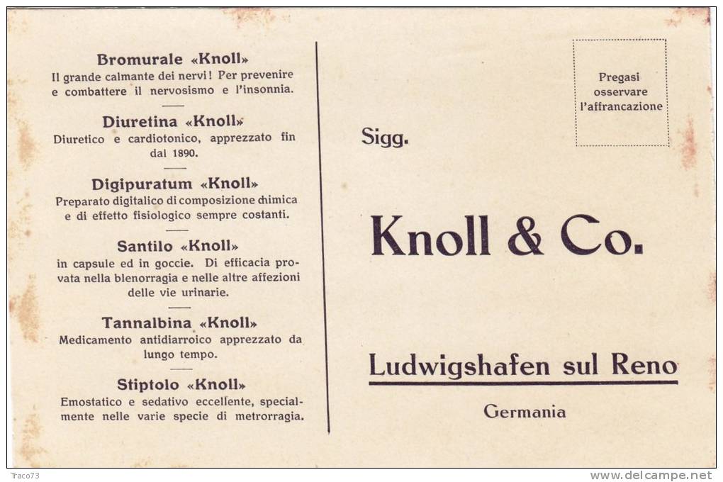 GERMANIA  - "Knoll & Co." - Card / Cartolina Pubblicitaria - Reklame