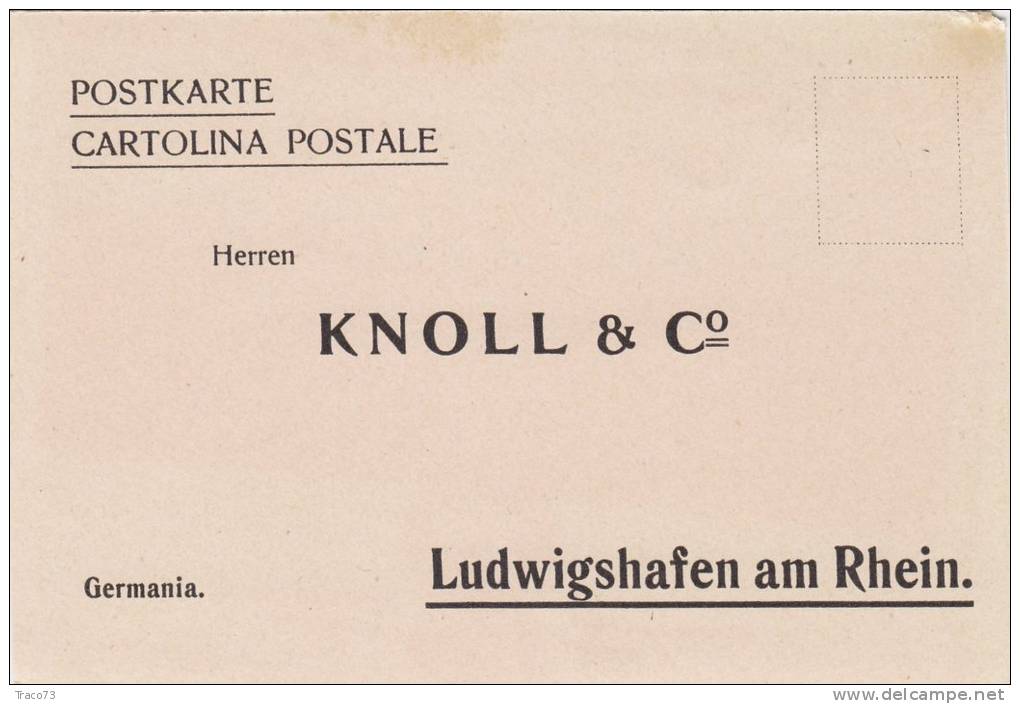 GERMANIA  -  " KNOLL & Co. "  Per Saggi Gratuiti - Card  /  Cartolina Pubblicitaria - Reklame