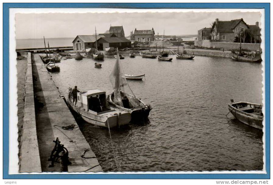 50 - SAINT VAAST La HOUGUE -- La Cale - 1950 - 60 - Saint Vaast La Hougue