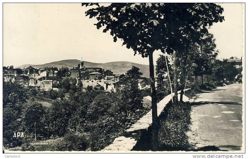 La Salvetat-sur-Agout  La Salvetat Vue De La Route De Fraisse  Cpsm Format  Cpa - La Salvetat