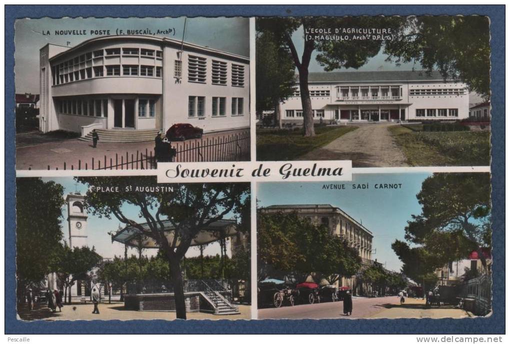 ALGERIE - CP SOUVENIR DE GUELMA - MULTIVUES POSTE / ECOLE AGRICULTURE / PLACE ST AUGUSTIN / AVENUE SADI CARNOT - CAP1531 - Guelma