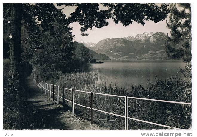 Seepromenade  Sachseln  Sarnen 570 - Sachseln