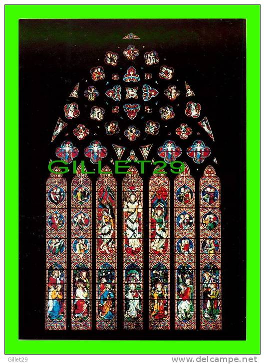 MELBOURNE, AUSTRALIA - ST. PATRICK´S CATHEDRAL - GREAT WESTERN WINDOW - NU-COLOR-VUE - - Melbourne