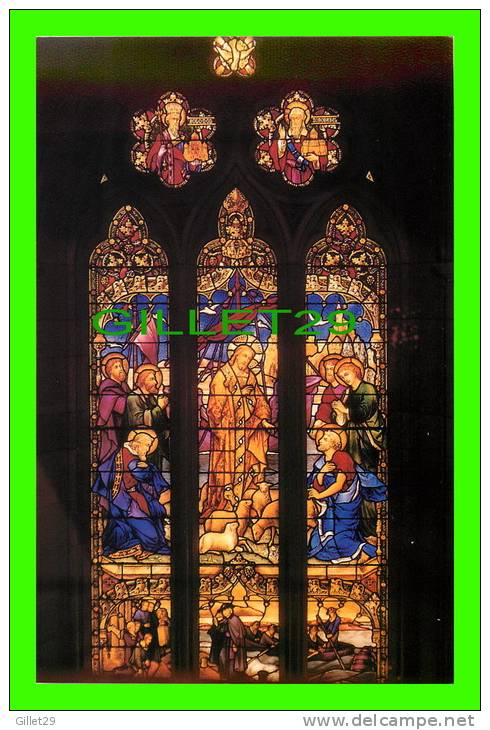 SYDNEY, AUSTRALIA - ST.MARY´S CATHEDRAL - FOURTH HISTORICAL WINDOW - NU-COLOR-VUE - - Sydney