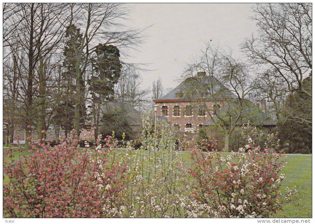 Heusden -  Zolder  /  Museum  /   Fotokaart  /  Moderna - Heusden-Zolder