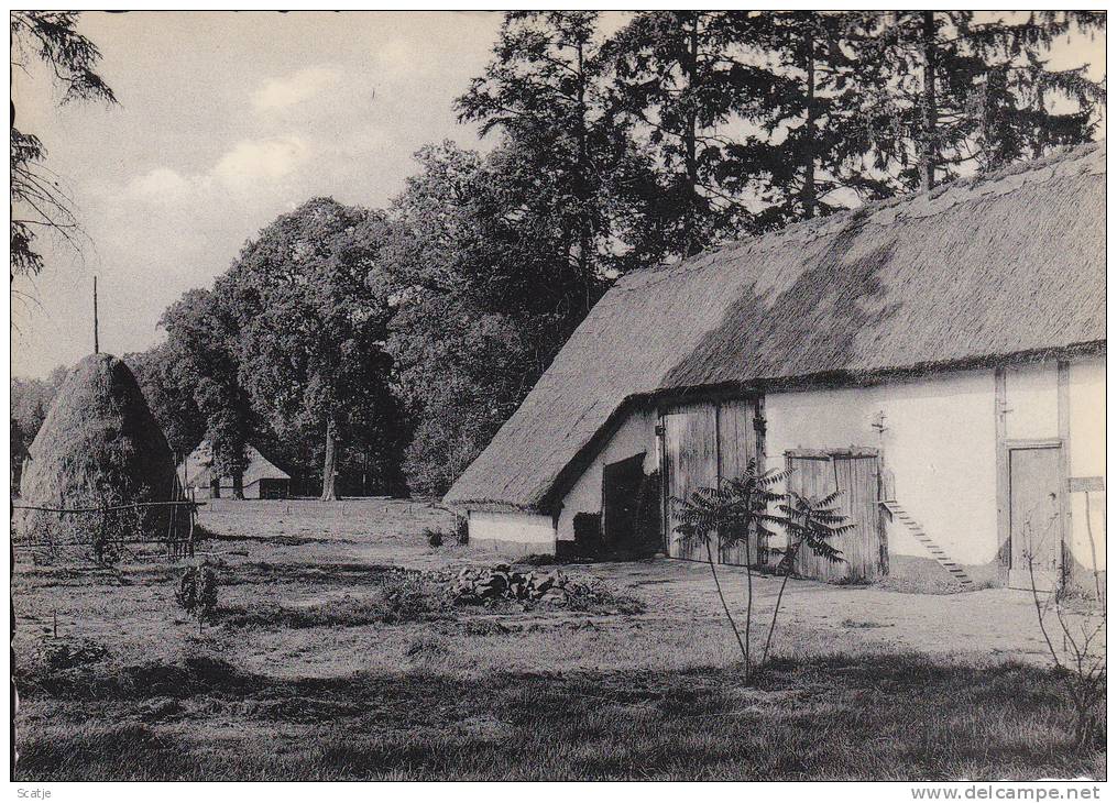 Genk -  Provinciaal Domein Van  Bokrijk  /  Oude Hoeve - Genk