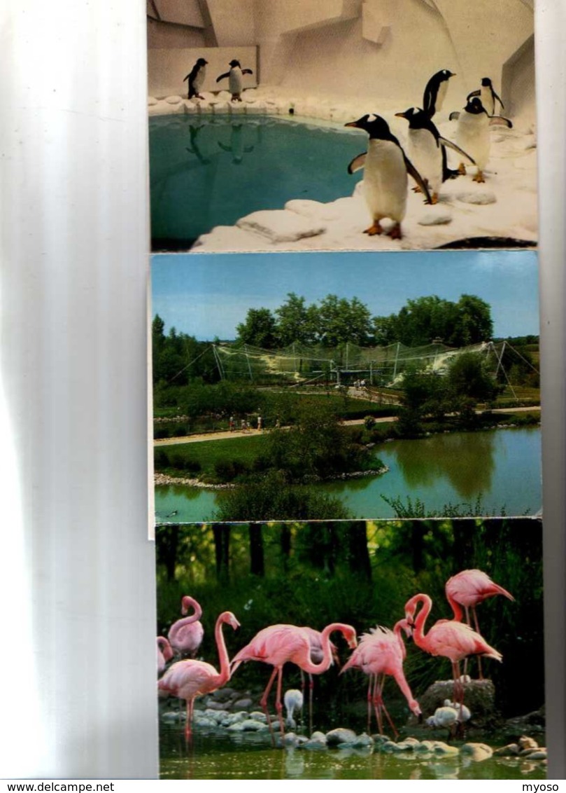 O1 VILLARD LES DOMBES Parc Departemental Des Oiseaux, Depliant De 7 Vues:manchot,paon,flamants,heron,ara,ibis,voliere - Villars-les-Dombes
