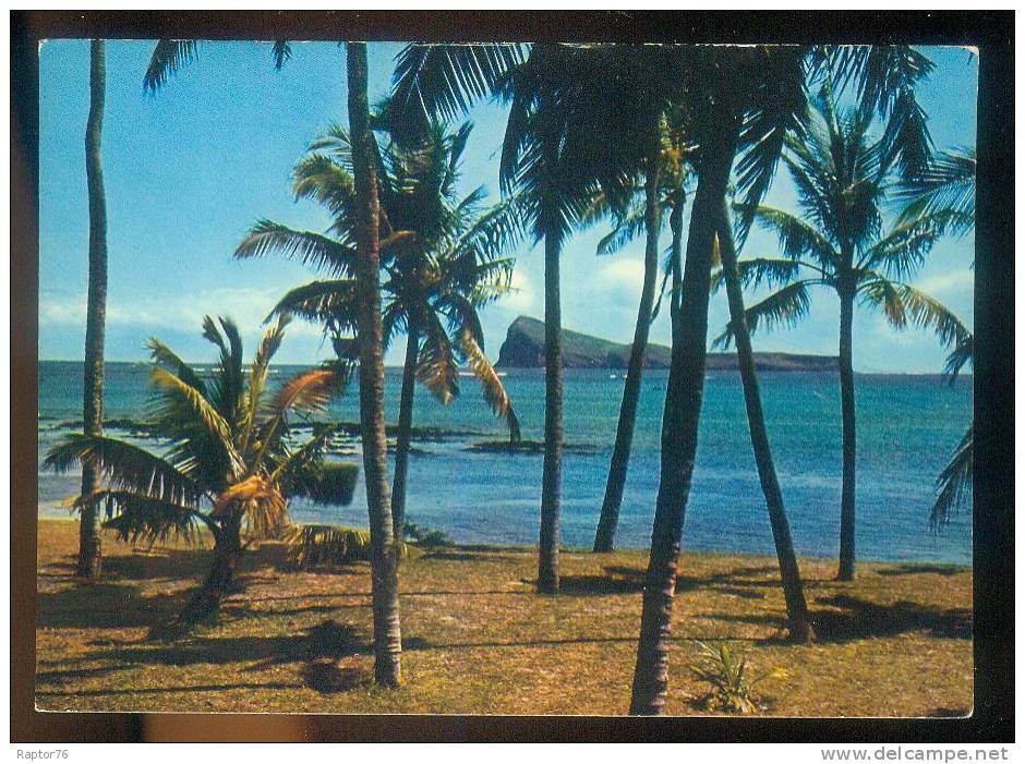 CPM  Ile Maurice  ( Mauritius ) Le Coin De Mire Naviguant Derrière Les Cocotiers De Cap Malheureux - Mauricio