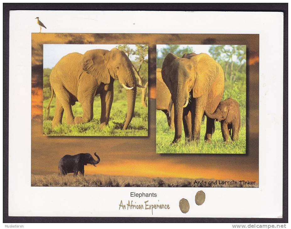 South Africa PPC Elephants An African Experience 1999 - Südafrika