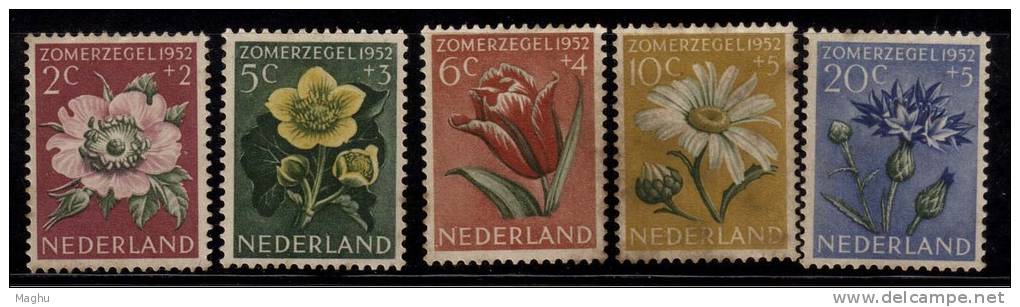 Netherlands  1952, MH, Fund Issue, Set Of 5. Flowers, Rose, Cornflower, Tulip, Marigold, Etc., As Scan - Unused Stamps