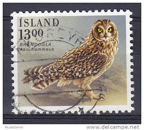 Iceland 1987 Mi. 668    13.00 Kr Vogel Bird Sumpfohreule Owl - Oblitérés