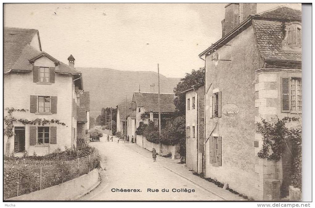 0301 - Chéserex Rue Du Collège - Chéserex