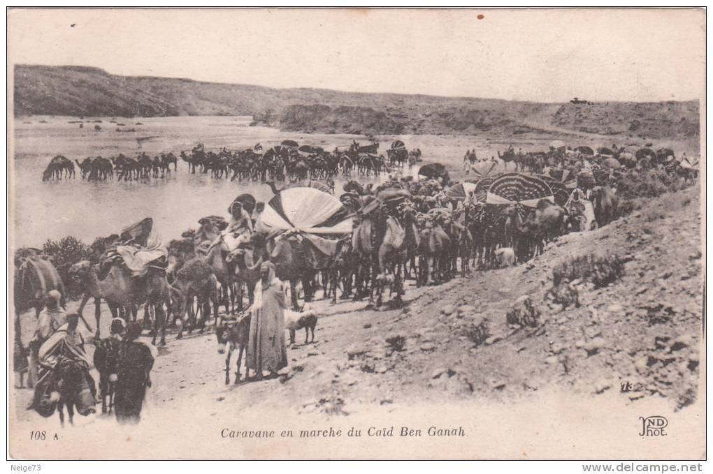 Cpa D'Algérie - Caravane En Marche Du Caïd Ben Ganah - Hommes