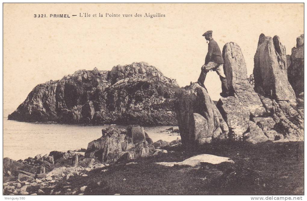 29 PRIMEL  L'Ile Et La Pointe Vue Des Aiguilles - Morgat
