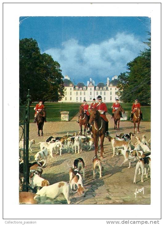 Cp, Chasse, Chasse à Courre, Château De Cheverny, Voyagée - Chasse