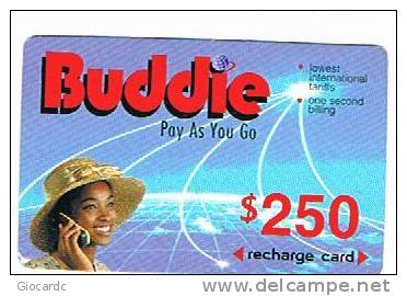ZIMBABWE - ECONET (GSM RECHARGE) - BUDDIE: GIRL 250 - EXP. 1.1.2000  -   USED    RIF. 2677 - Zimbabwe