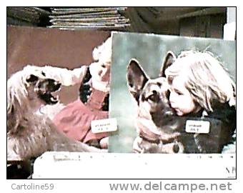 2 CARD CANE  CANI DOG  CON BAMBINE  LEVRIERO E PASTORE TEDESCO  N1975   DM2469 - Dogs