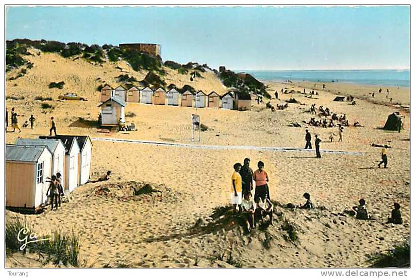 Pas-de-Calais : Nov11b 273 : Saint-Cécile-Plage  -  Plage  -  Semi-moderne 9x14 - Autres & Non Classés