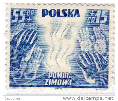 POLOGNE - 1938: ": Surtaxe De Bienfaisance" - N° 421* - Nuovi