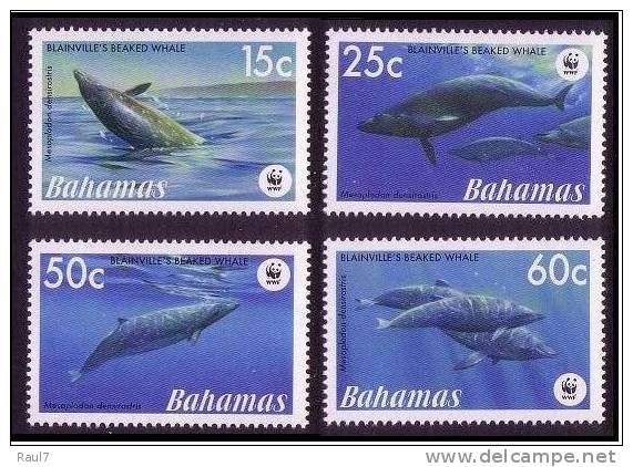 BAHAMAS 4v NEUFS ** WWF  MNH WHALES // BALEINES - Unused Stamps