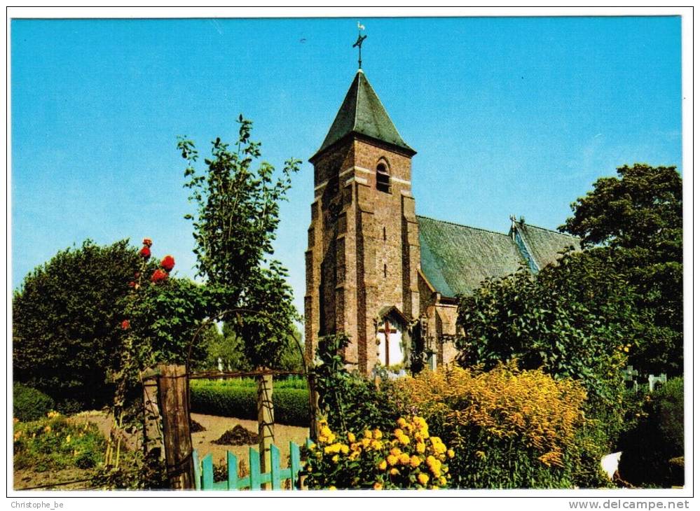 Stad Damme, Hoeke, Kerk St Jacobs De Meerdere (pk3187) - Damme