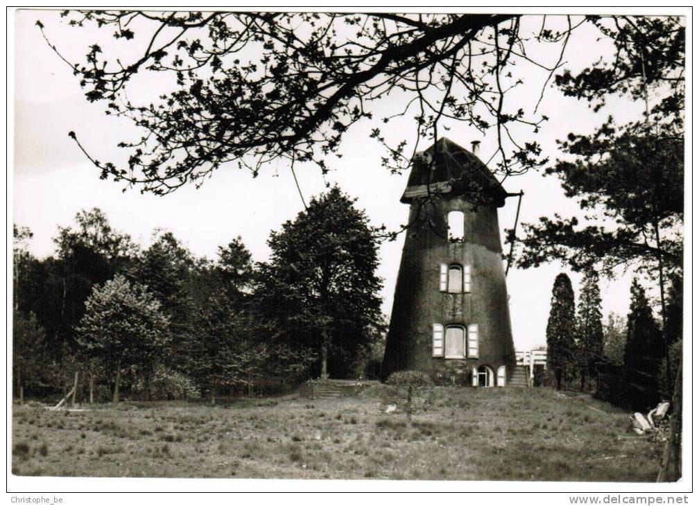 Lille, Sint Pieters, Oude Molen (pk3189) - Lille