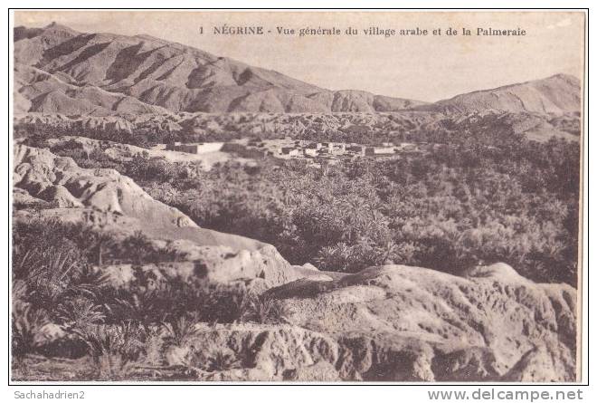 NEGRINE. Vue Générale Du Village Arabe Et De La Palmeraie. 1 - Túnez