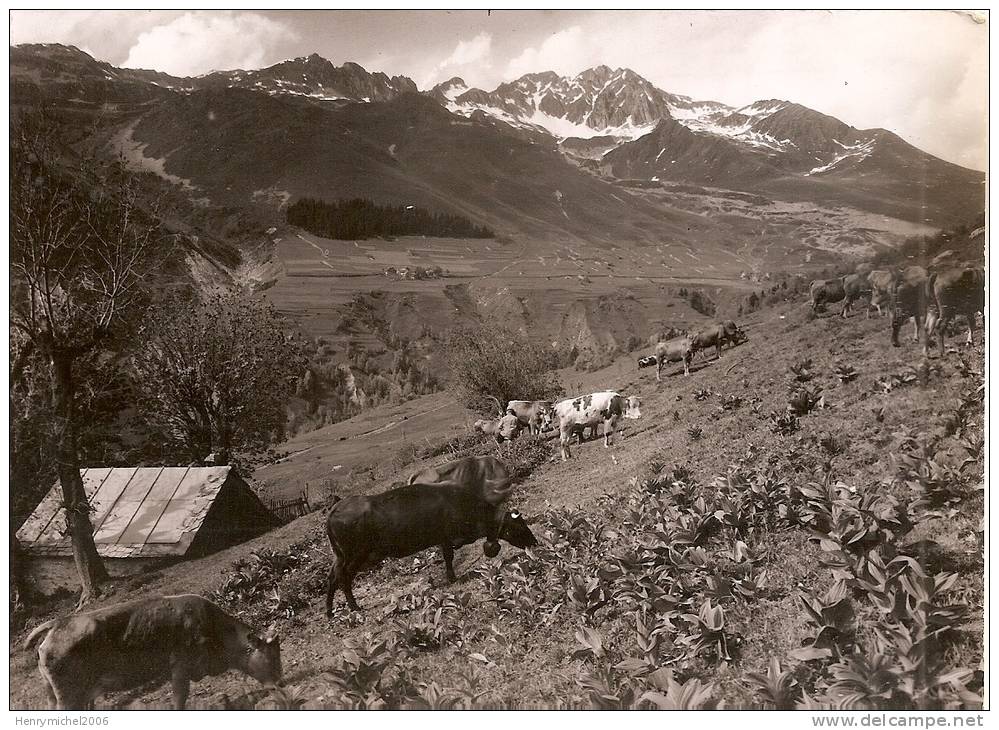 Savoie - Saint Jean De Maurienne Dans Les Alpages Vaches , Photo Leger - Saint Jean De Maurienne