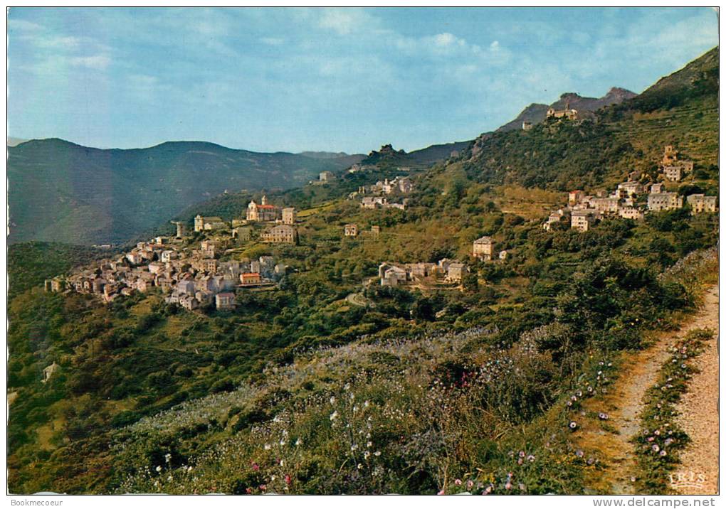 CORSE   ROGLIANO   CAP CORSE  VUE GENERALE - Corse