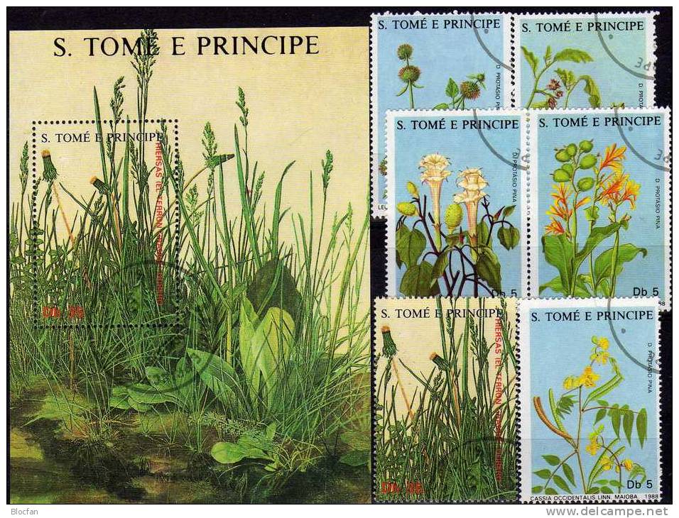Naturschutz Heilpflanzen 1988 St.Thomas-/Prinzen-Insel 1036/1+ Block 178 O 20€ Gemälde Von Dürer Flora Sheet Of Sao Tome - Farmacia