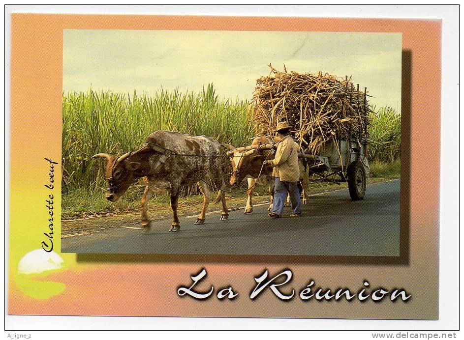 Ref 51 Cp Ile De La Réunion Charette Boeuf Attellage Cannes à Sucre - Autres & Non Classés