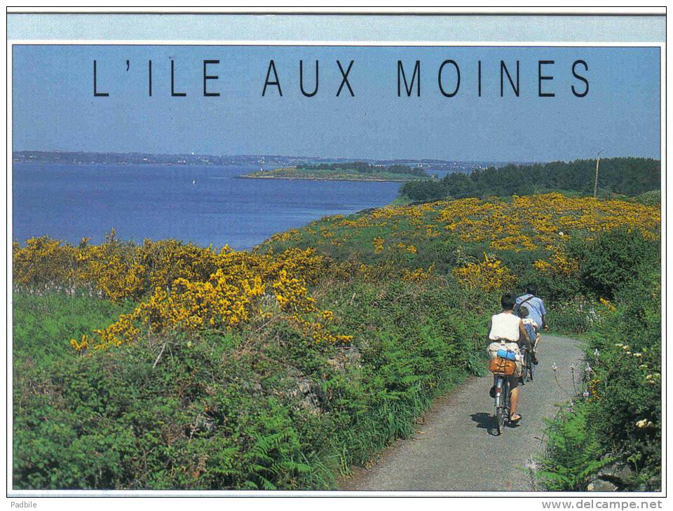 Carte Postale 56. Île Aux Moines  Trés Beau Plan - Ile Aux Moines