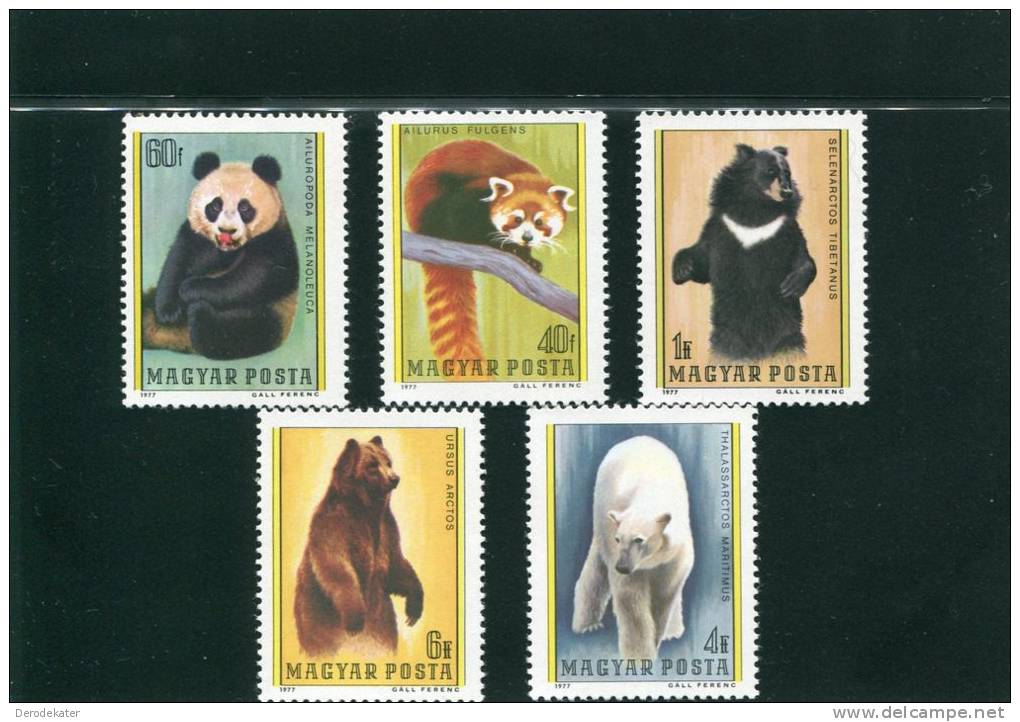 Magyar 1977.Hungary. 5v.MNH**.Bears.Brown Bear.Polar Bear.Ours Brun.Panda.Ailures Fulgens. Ursus Arctos.Beren.Osos.Fauna - Bären