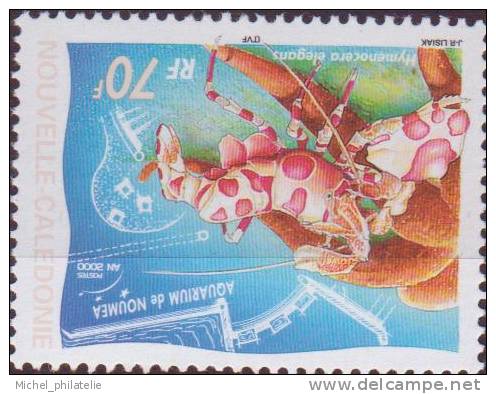 Nouvelle Caledonie N ° 815 à 817** Neuf Sans Charniere  AQUARIUM DE NOUMEA - Unused Stamps