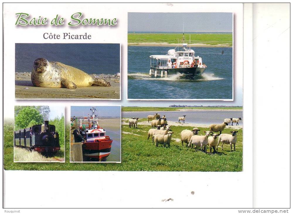 CPM - BAIE DE SOMME - COTE PICARDE - - Autres & Non Classés